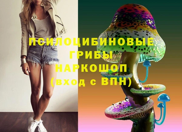 дживик Алексеевка