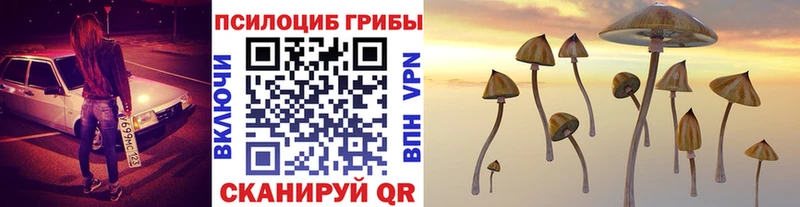 Псилоцибиновые грибы Psilocybe  магазин  наркотиков  Новопавловск 