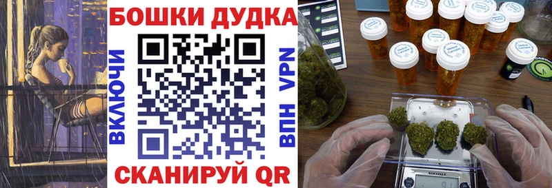Бошки марихуана план  Новопавловск 